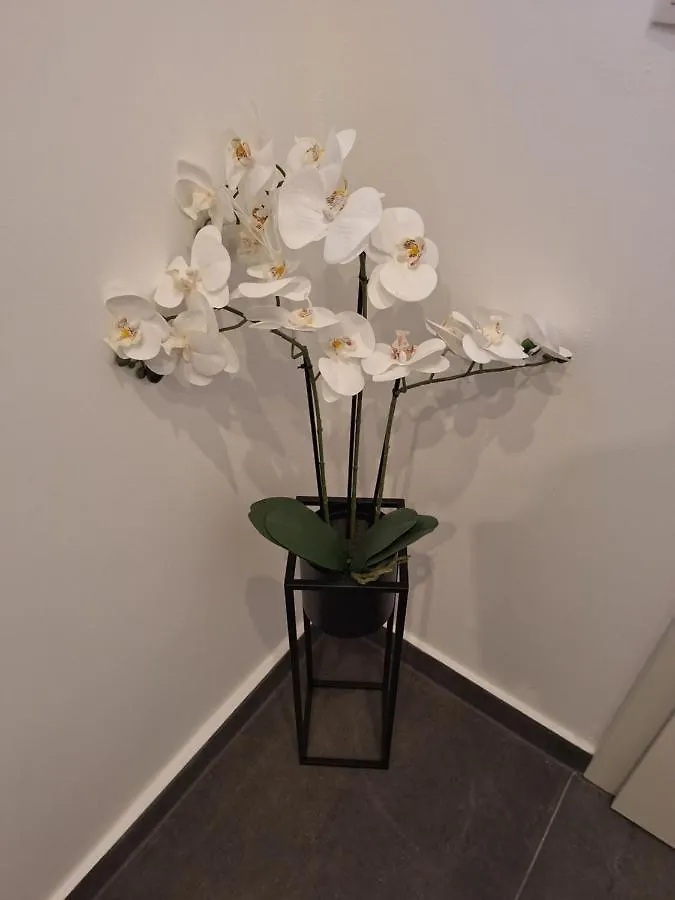 Ferienhaus Aycu Apartment Bremen